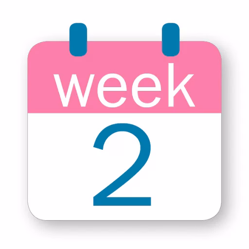 A Week-by-Week Guide: Expectations for the First Month of Weight Loss Injections