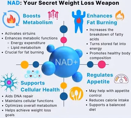 What Is NAD+ — And Can It Help Support Weight Loss, Energy, and Metabolism?