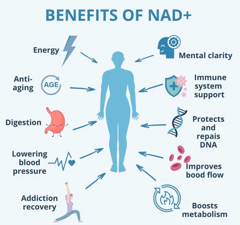 NAD+